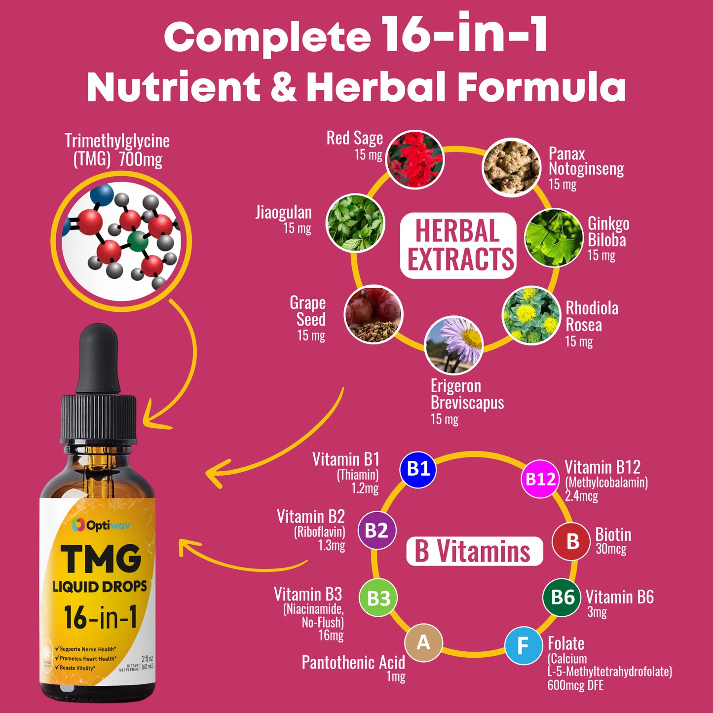 TMG Trimethylglycine Liquid Drops